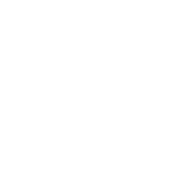 Buggy Paradise