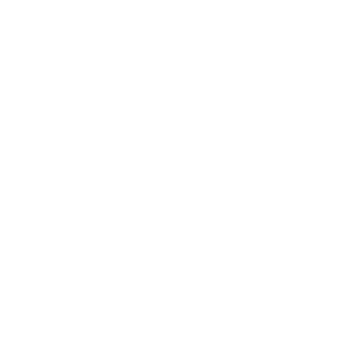 Alicante Catamarán