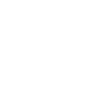 Nuevo Stylo Sur